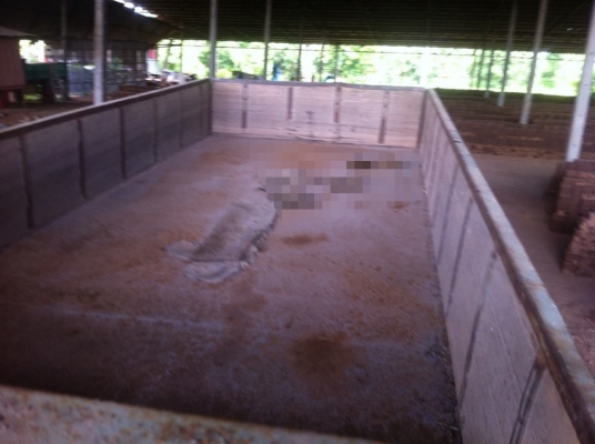 **ขายแล้วครับขอบคุณ ลูกค้า และ ขอบคุณ Truck2hand **ขายแล้วครับขอบคุณ ลูกค้า และ ขอบคุณ Truck2hand