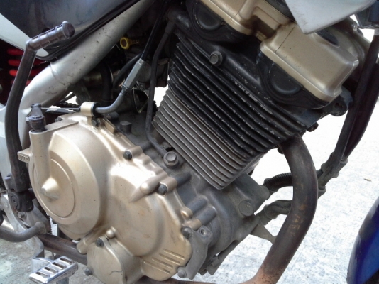 ขายเรดเดอร์150