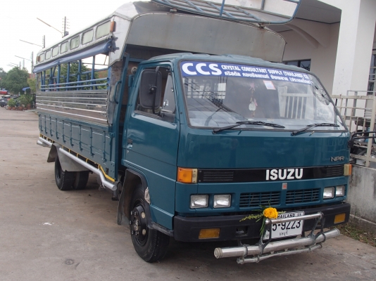 ขายรถสองแถว ISUZU NPR 115
