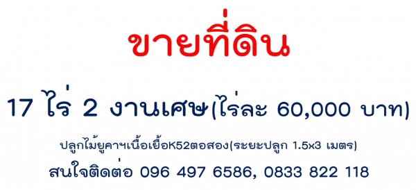 ขายที่ดิน (เจ้าของขายเอง)