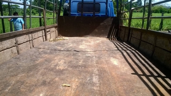 ขาย 6 ล้อ ISUZU NKR ปี 46 เครื่อง 4HG1 130 แรงม้า คัสซีสวยตลอดเส้น พวงมาลัยพาวเวอร์ เครื่องเสียงครบ ทะเบียนพร้อมโอนครับ