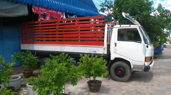 ขาย 6 ล้อ HINO FB113 ยาว 5 เมตร เครื่อง WO4D 117 แรงม้า คัสซีสวยตลอดเส้น รถพร้อมใช้ ทะเบียนพร้อมโอนครับ