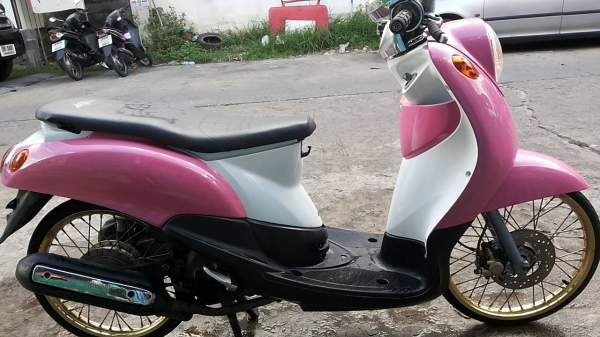 ฟีโน่ 12900