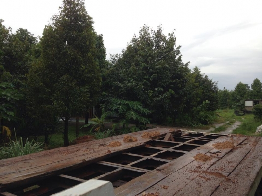 ขายรถเทเลอร์ท้ายเป็ด10ล้อ สองเพลา ขายรถเทเลอร์ท้ายเป็ด10ล้อ สองเพลา