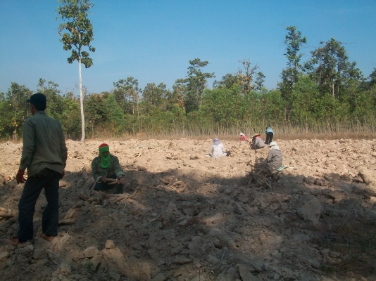 ขายผานขุดมันไม่ต้องเลื่อนหาตำแหน่งร่องให้ยุ่งยากครับมีทั้งแบบทูอินวันยกร่องและขุดใช้โครงเดียวกันครับ