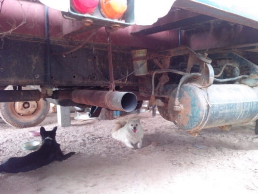 HINO FM3HNLA ห้างแท้ปี40 เครื่อง 195แรง HO7D 2เพลาดั้ม ภาษีขาด45 ชุดโอนครบ เล่มพร้อม