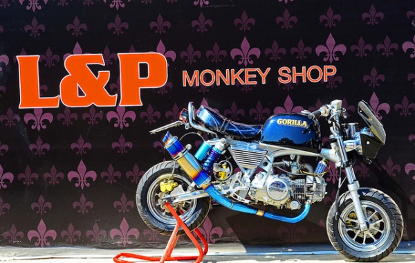 โปรโมชั่น ลดราคามังกี้ กอลิล่า มีให้เลือกหลากหลายแบบ ไม่ซ้ำ ขับสนุก ขับมัน ทนทาน  เริ่มต้น2XXXX