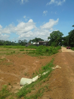 ขายที่ติดแม่น้ำโขงเอกสารโฉนดเพื้อนที่ 4 ไร่หน้าถนนคอนกรีดข้างถนนเทศบาล