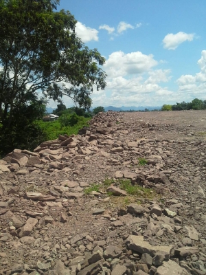 ขายที่ติดแม่น้ำโขงเอกสารโฉนดเพื้อนที่ 4 ไร่หน้าถนนคอนกรีดข้างถนนเทศบาล