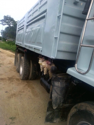 รถอีซูซุ 10 ล้อดั้ม FXZ  240 แรงม้า. ปี 36   สนใจติดต่อ  081 - 6079515