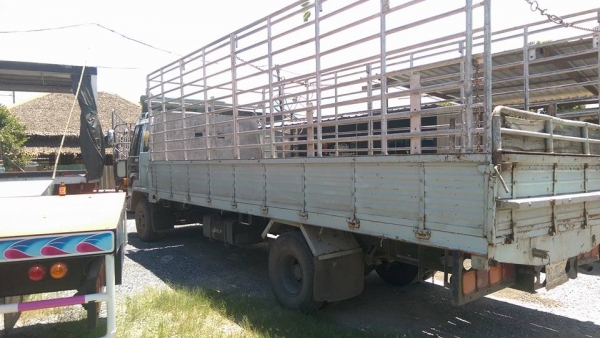 ร๊อกกี้ 175 แรง ยาว 6.10 ยาง 8.25 คัสซีสวย พาเวอร์จิฟฟี่ ยาวสวย 6เส้นพร้อมใช้งานครับ