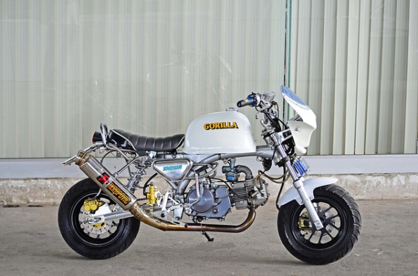 ชาลีแต่ง  มังกี้ กอลิล่าแต่ง มีมากกว่า 100++ แบบ โครง cnc รวมของแต่ง เพียบ ราคาเริ่มต้น.........