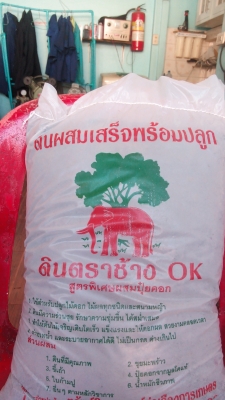 ดินผสมพร้อมปลูกผสมใบก้ามปูดินผสมพร้อมปลูกผสมใบก้ามปู8บาท