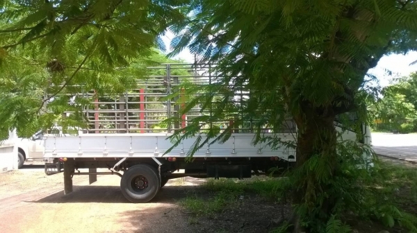 ขาย 6 ล้อ ISUZU NQR 175 ยาว 5.50 เมตร ออกห้างมือเดียวปี 53 สภาพสวยเดิมพร้อมใช้ เครื่องไม่เคยแกะ คัสซีสวยตลอดเส้น พร้อมคอกเหล็ก ทะเบียนพร้อม ราคาต่อรองได้ครับ