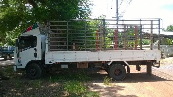 ขาย 6 ล้อ ISUZU NQR 175 ยาว 5.50 เมตร ออกห้างมือเดียวปี 53 สภาพสวยเดิมพร้อมใช้ เครื่องไม่เคยแกะ คัสซีสวยตลอดเส้น พร้อมคอกเหล็ก ทะเบียนพร้อม ราคาต่อรองได้ครับ