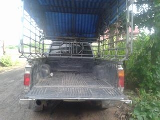 ข่ายด่วนนิสสันเพลาลอยพร้อมคอก