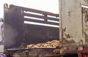 **700,000 บ.ต่อรอง/// 10ล้อ ไอ้หลง FUSO-TD 195 2เพลาดั้ม **ขาย MITSUBISHI FUSO-TD 195 ไอ้หลงทีดี 10ล้อ2เพลาดั้มเหล็ก ราคาเบาๆ MITSUBISHI FN527M-TD1712 วางเครื่อง 6D17-210HP ลงเล่ม เกียร์เดิม 10สปีด เครื่องดี แรงดี เกียร์ดี เข้าง่าย ดีครับ ช่วงล่างใหญ่ เบร **700,000 บ.ต่อรอง/// 10ล้อ ไอ้หลง FUSO-TD 195 2เพลาดั้ม **ขาย MITSUBISHI FUSO-TD 195 ไอ้หลงทีดี 10ล้อ2เพลาดั้มเหล็ก ราคาเบาๆ MITSUBISHI FN527M-TD1712 วางเครื่อง 6D17-210HP ลงเล่ม เกียร์เดิม 10สปีด เครื่องดี แรงดี เกียร์ดี เข้าง่าย ดีครับ ช่วงล่างใหญ่ เบร