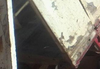 **700,000 บ.ต่อรอง/// 10ล้อ ไอ้หลง FUSO-TD 195 2เพลาดั้ม **ขาย MITSUBISHI FUSO-TD 195 ไอ้หลงทีดี 10ล้อ2เพลาดั้มเหล็ก ราคาเบาๆ MITSUBISHI FN527M-TD1712 วางเครื่อง 6D17-210HP ลงเล่ม เกียร์เดิม 10สปีด เครื่องดี แรงดี เกียร์ดี เข้าง่าย ดีครับ ช่วงล่างใหญ่ เบร **700,000 บ.ต่อรอง/// 10ล้อ ไอ้หลง FUSO-TD 195 2เพลาดั้ม **ขาย MITSUBISHI FUSO-TD 195 ไอ้หลงทีดี 10ล้อ2เพลาดั้มเหล็ก ราคาเบาๆ MITSUBISHI FN527M-TD1712 วางเครื่อง 6D17-210HP ลงเล่ม เกียร์เดิม 10สปีด เครื่องดี แรงดี เกียร์ดี เข้าง่าย ดีครับ ช่วงล่างใหญ่ เบร