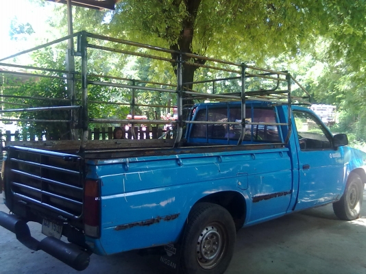 ขายรถนิสสัน BIG M td25 ปี 31