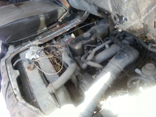 ขายรถตู้ isuzu buddy 2 คัน ราคา 68,000 บาทราคานี้2คันนะ(ขายแล้ว)