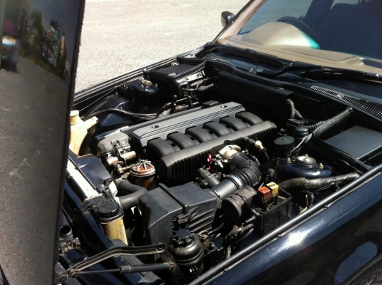 ขออนุญาติขาย BMW 525i BIG NOSE วิ่งน้อย 8x,xxx KM เจ้าของขายเอง