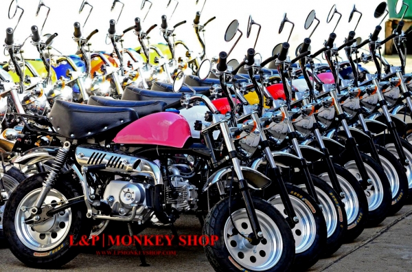 โปรจัดใหม่  ลดพิเศษ มังกี้กอลิล่า เดิมๆ ราคาเริ่มต้นที่ 2xxxx ลดพิเศษมังกี้แต่งโดนใจวัยมันส์ เสียภาษี มีใบคุมขนส่ง มีให้เลือกเยอะที่สุด ถูกที่สุด สะดุต  ราคาเริ่มต้น  22999