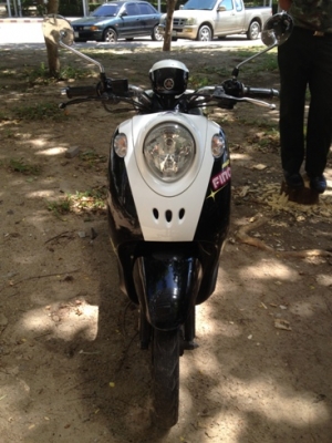 ฟีโน่ ปี 53 ถูก พร้อมใช้