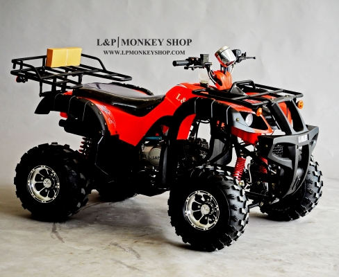 จัดโปรใหม่  BIG BEAR 125 cc ลดราคาพิเศษคุ้มสุดๆ ราคาเริ่มต้นที่...