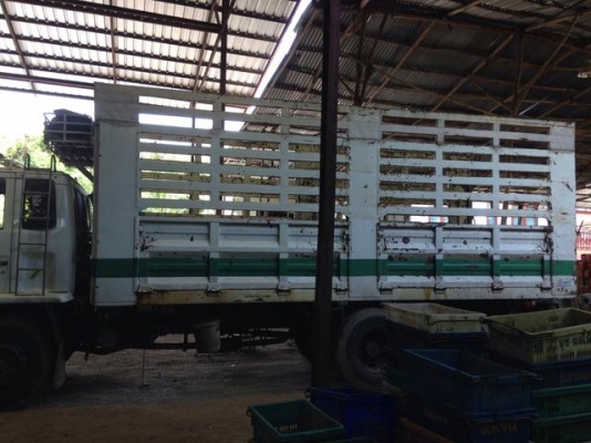 FVM 12 MY    175  แรง  ปี36  ราคา  545,000  บาท