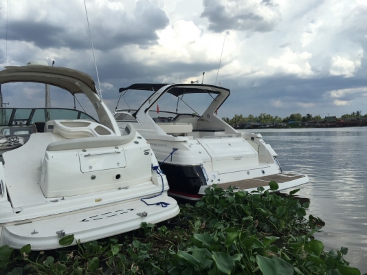 2005 38 Foot Regal Yacht by Xteam Rama4