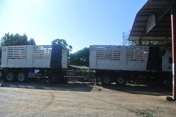 ขาย isuzu 360 ขาย isuzu 360