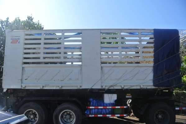 ขาย isuzu 360 ขาย isuzu 360