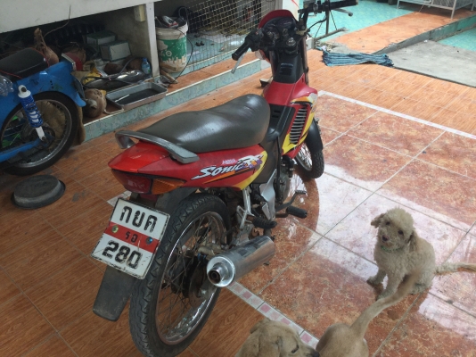 ขาย โซนิค