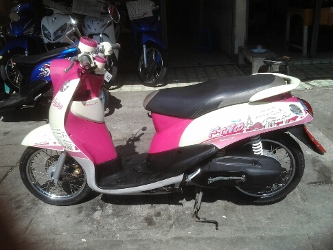 ฟีโน่ปี55