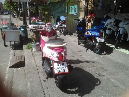 ฟีโน่ปี55