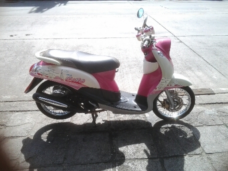 ฟีโน่ปี55