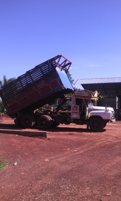 หัวยาวดั๊มช่วงล่างใหญ่