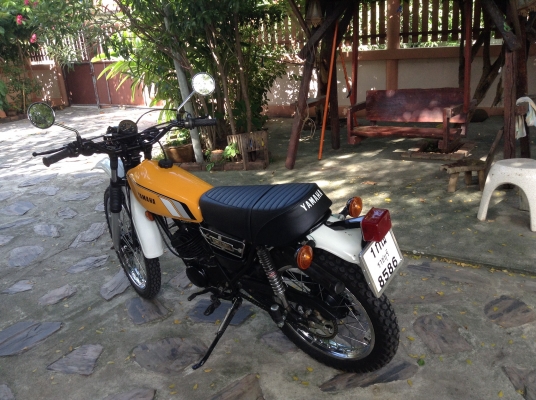 DT100X