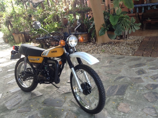 DT100X