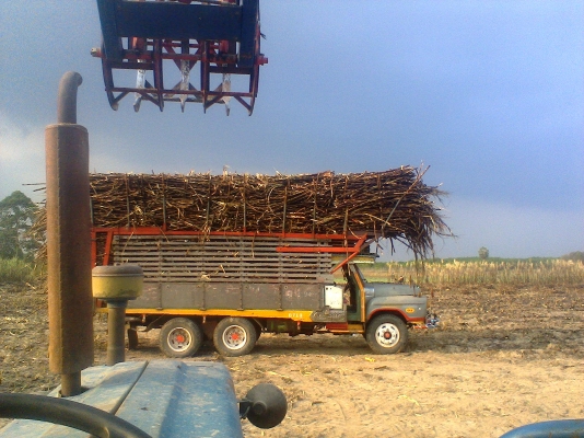 ขายสิล้อหน้ายาว