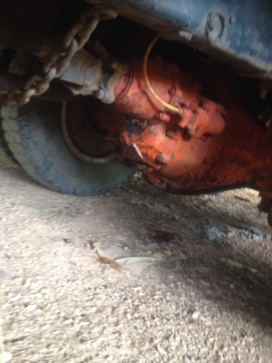 ขายสิล้อหน้ายาว