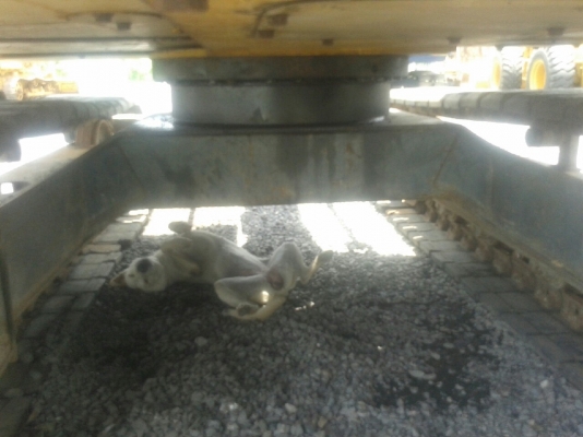 รถแบคโฮ KOMATSU รถแบคโฮ KOMATSU