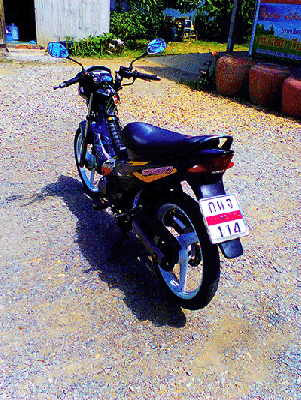 นำเสนอเทน่าปี 43