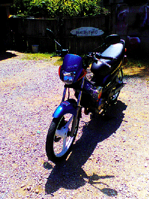 นำเสนอเทน่าปี 43