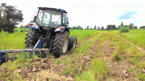 ขายรถไถ 7840 เกียร์ ธรรมดา 12x12 6 สูบ 120 แรงม้าแอร์เย็นเพลงเพาะทะเบียนพร้อมโอน 0876743909 ด่วน ครับ ขายรถไถ 7840 เกียร์ ธรรมดา 12x12 6 สูบ 120 แรงม้าแอร์เย็นเพลงเพาะทะเบียนพร้อมโอน 0876743909 ด่วน ครับ