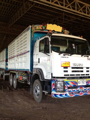 ขายรถพ่วง ISUZU DECA 360 ดั้มแม่-ลูก ปี 55 อู่สหกิจ สภาพสวยเดิมพร้อมใช้ วิ่งน้อย เครื่องดีไม่เคยแกะ คัสซีสวยไร้ตำหนิ