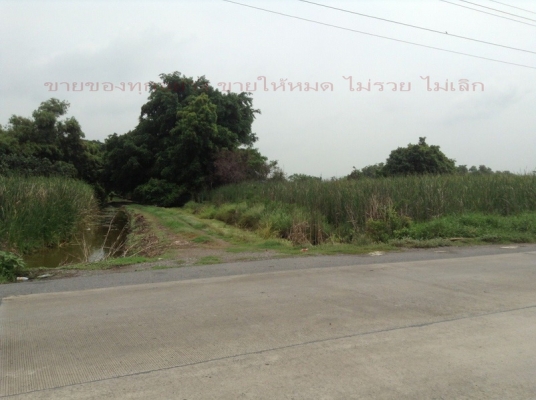 @@@ หน้าติดถนนใหญ่หลังติดคลอง 5ไร่(ทำเลสวย) @@@ @@@ หน้าติดถนนใหญ่หลังติดคลอง 5ไร่(ทำเลสวย) @@@