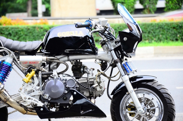 โปรโมชั่น ลดราคามังกี้ กอลิล่า มีให้เลือกหลากหลายแบบ ไม่ซ้ำ ขับสนุก ขับมัน ทนทาน  เริ่มต้น2XXXX