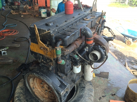 คัมมิ่นTA10ตามสภาพ