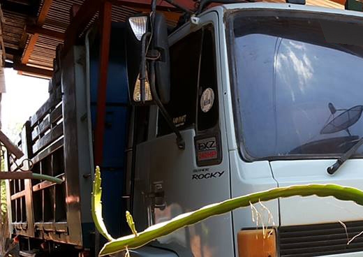 **ขายแล้วครับขอบคุณ ลูกค้า และ ขอบคุณ Truck2hand ครับ **ขายแล้วครับขอบคุณ ลูกค้า และ ขอบคุณ Truck2hand ครับ